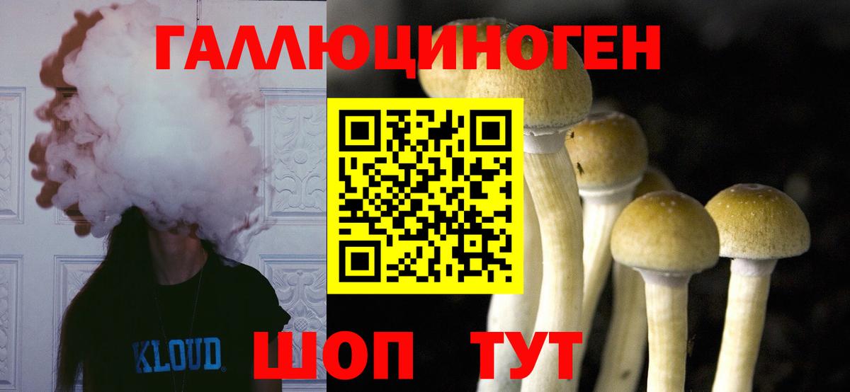 Галлюциногенные грибы Magic Shrooms Елабуга