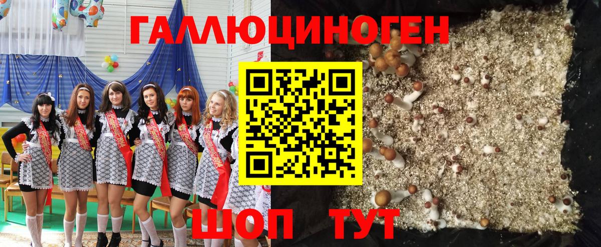 наркотики  Вход с VPN  Елабуга  Псилоцибиновые грибы ЛСД 